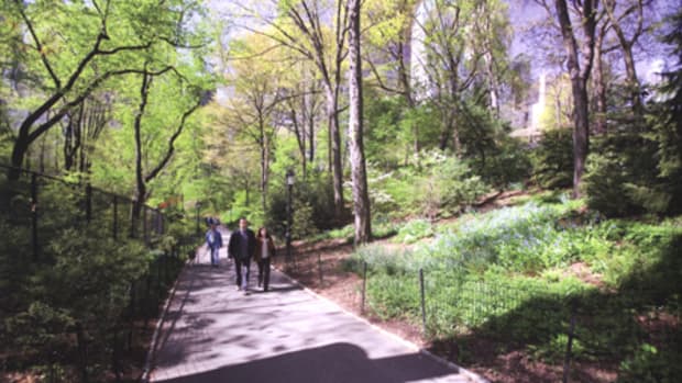 Neighborhood parks, such as Central Park in New York City, allow people to exercise and enjoy fresh air, while also raising the market value of nearby properties.