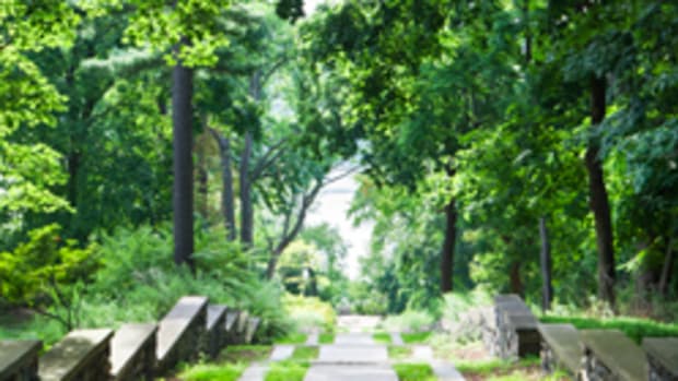 A stone staircase, cracked with age and covered with pine needles, leads the way to The Vista Overlook, which fronts the Hudson River and provides a panoramic view of the Palisades. When Untermyer lived there, he planted a half dozen interlocking Color Gardens along the right side.