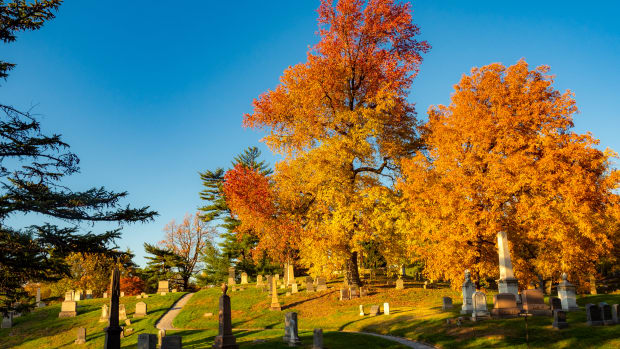 Greenwood Cemetery Fall Adobe Stock 391426297