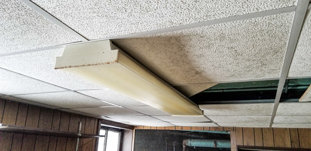 mold on ceiling tile