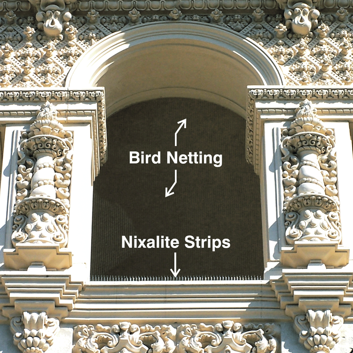 nixalite and Bird neting (1)