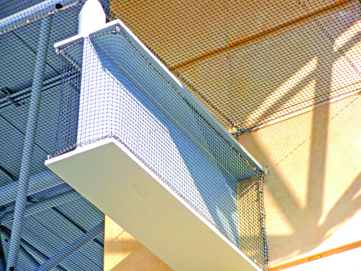 Netting, which Nixalite of America sells, is one solution for controlling birds on ledges, beams, and roof ridges.