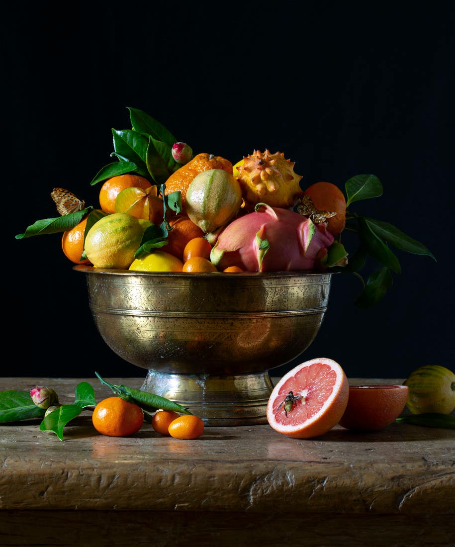 Emily Minton Redfield The Prado Series still life benedict awards