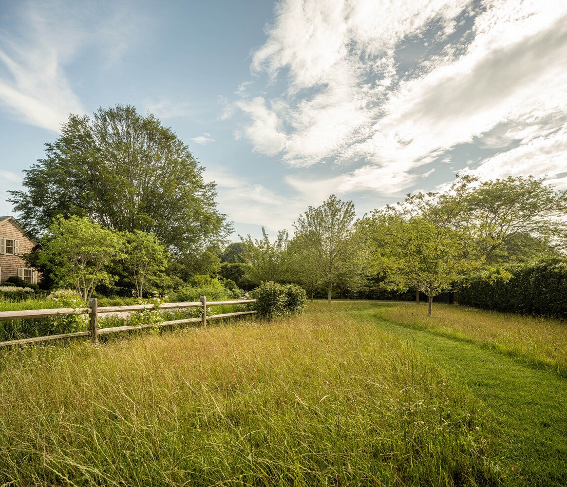 long island meadow lawn alternative landscape design