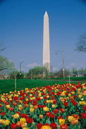 weathercap-washington-monument.jpg