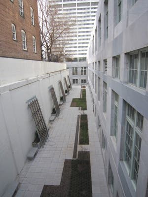 projecte-mlk.jpg