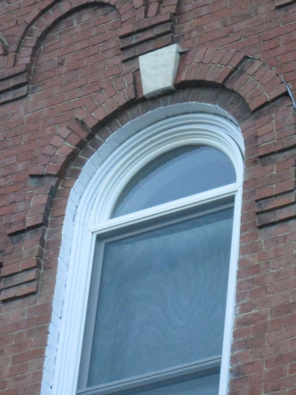 judy-3-web-window-wonk.jpg