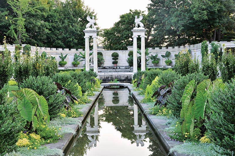 garden-9-walled-elephantears-sphinx.jpg