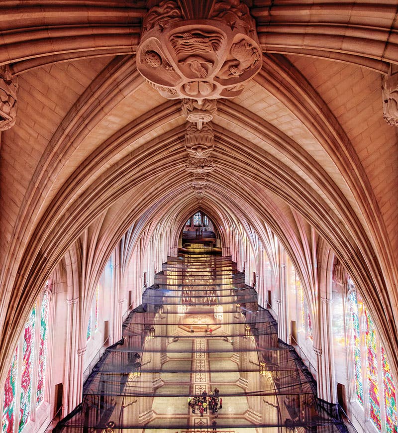 cathedral-9-nave-pre-scaffold-with-eq-netting-in-place.jpg