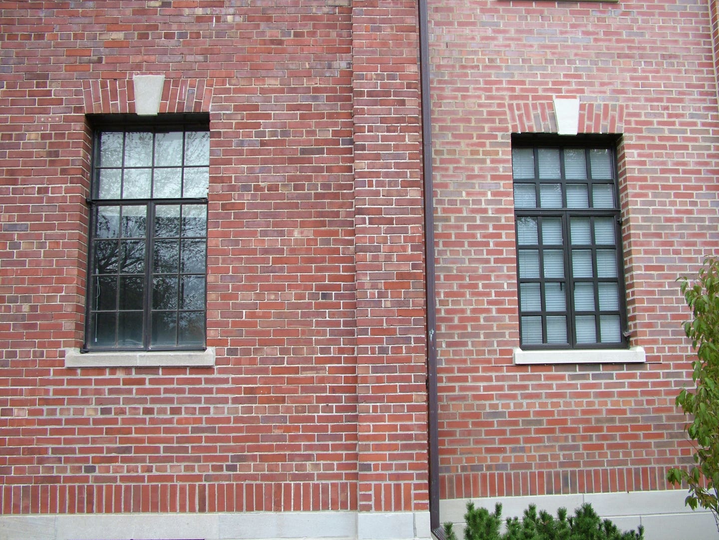 vincent-michael-6-dole-windows.jpg