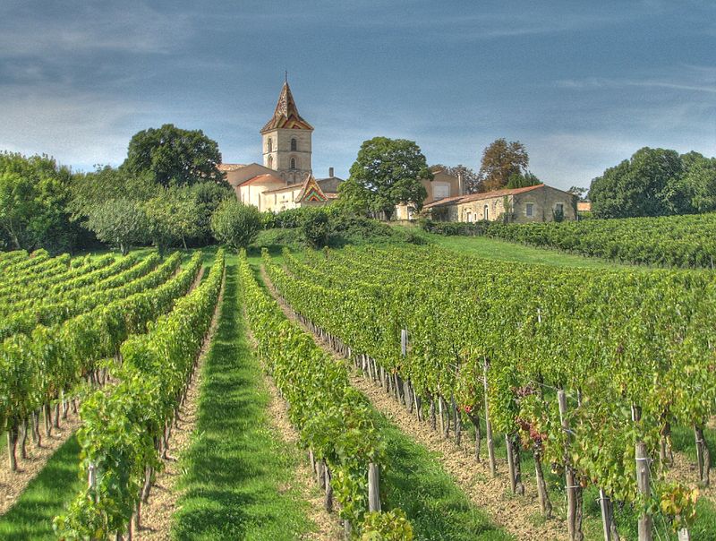 patrick-webb-12-wine-country.jpg