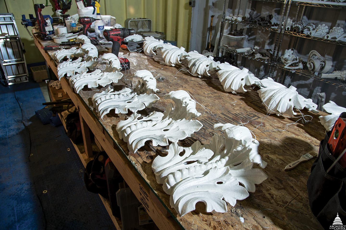 dome-9---acanthus-leaves-in-shop.jpg