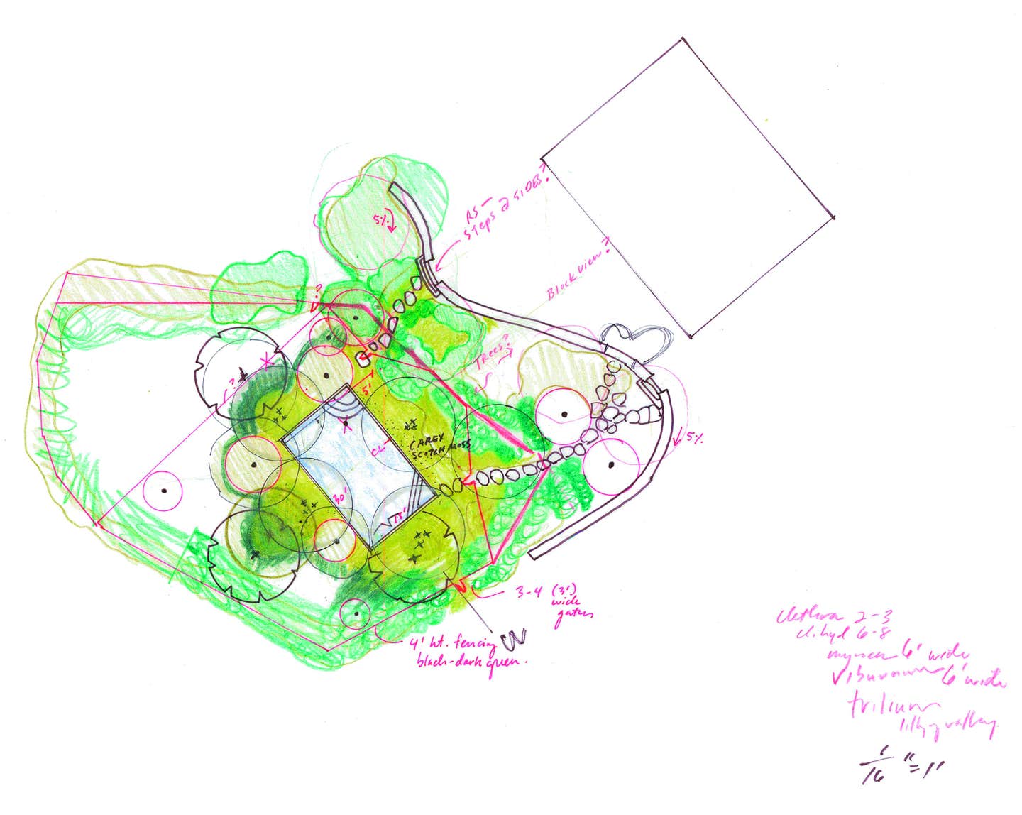 nross---sketch-2.jpg