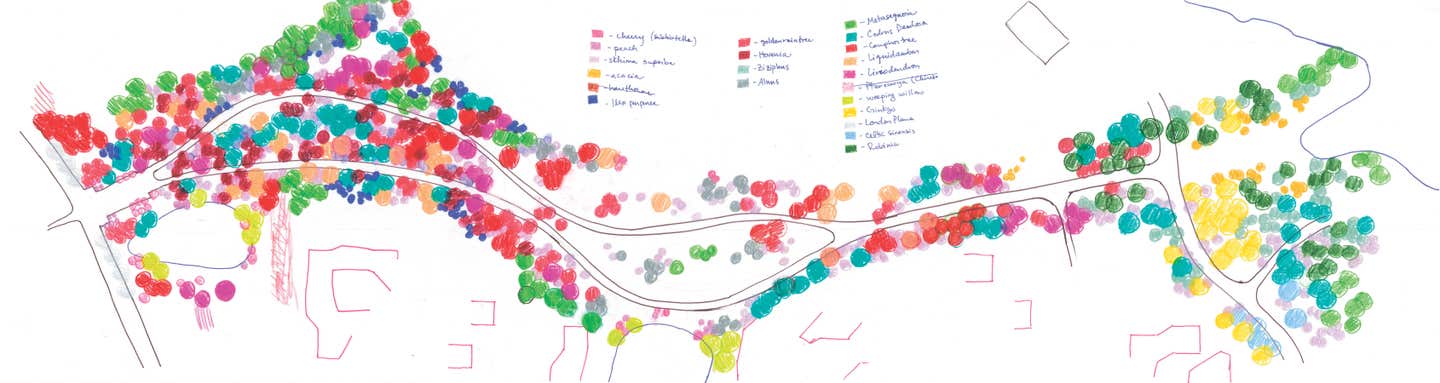 rboland---14-06-11tree-planting-diagram.jpg