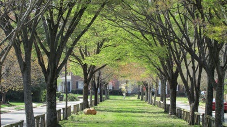 picture15b.jpg