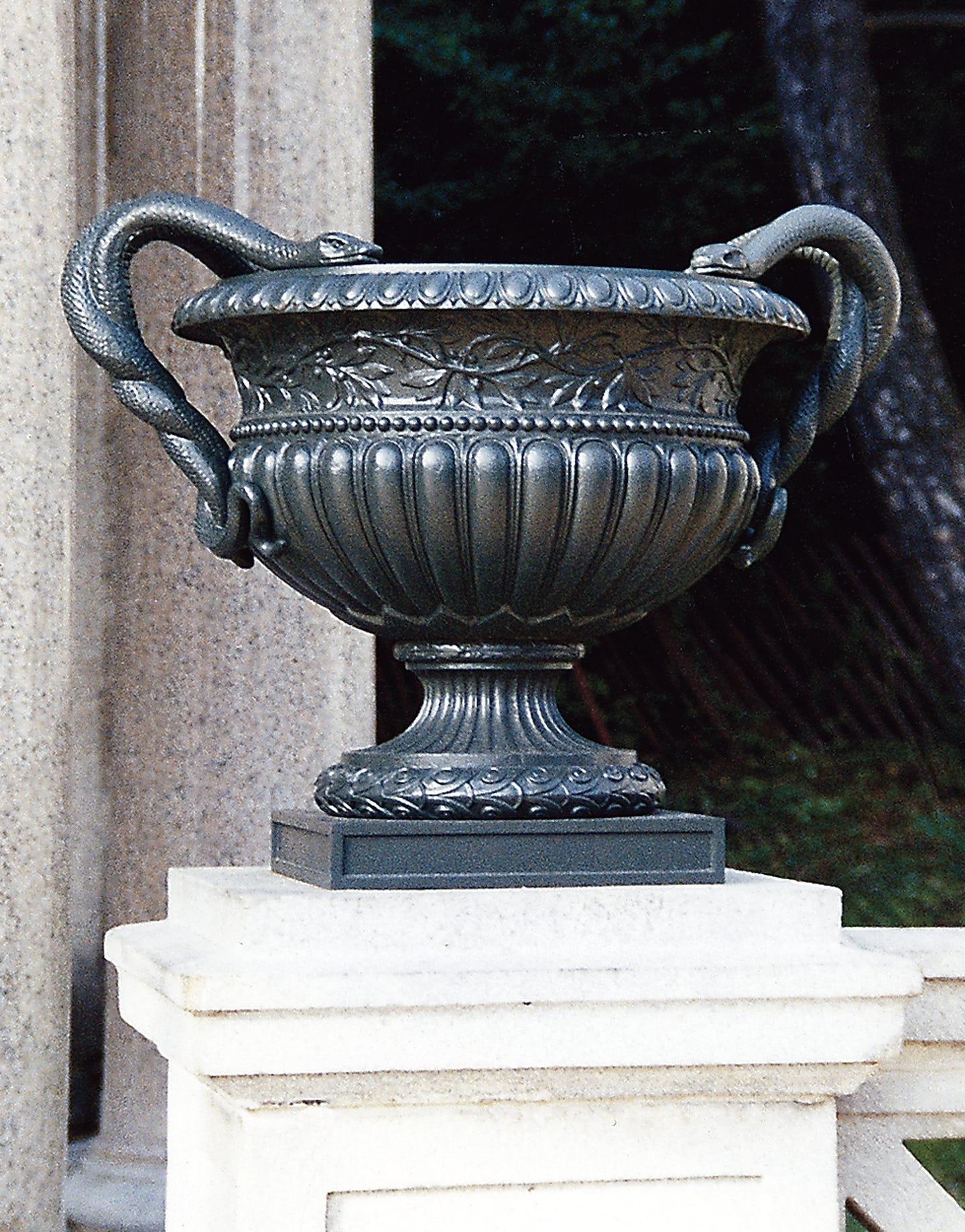 c05631.jpg