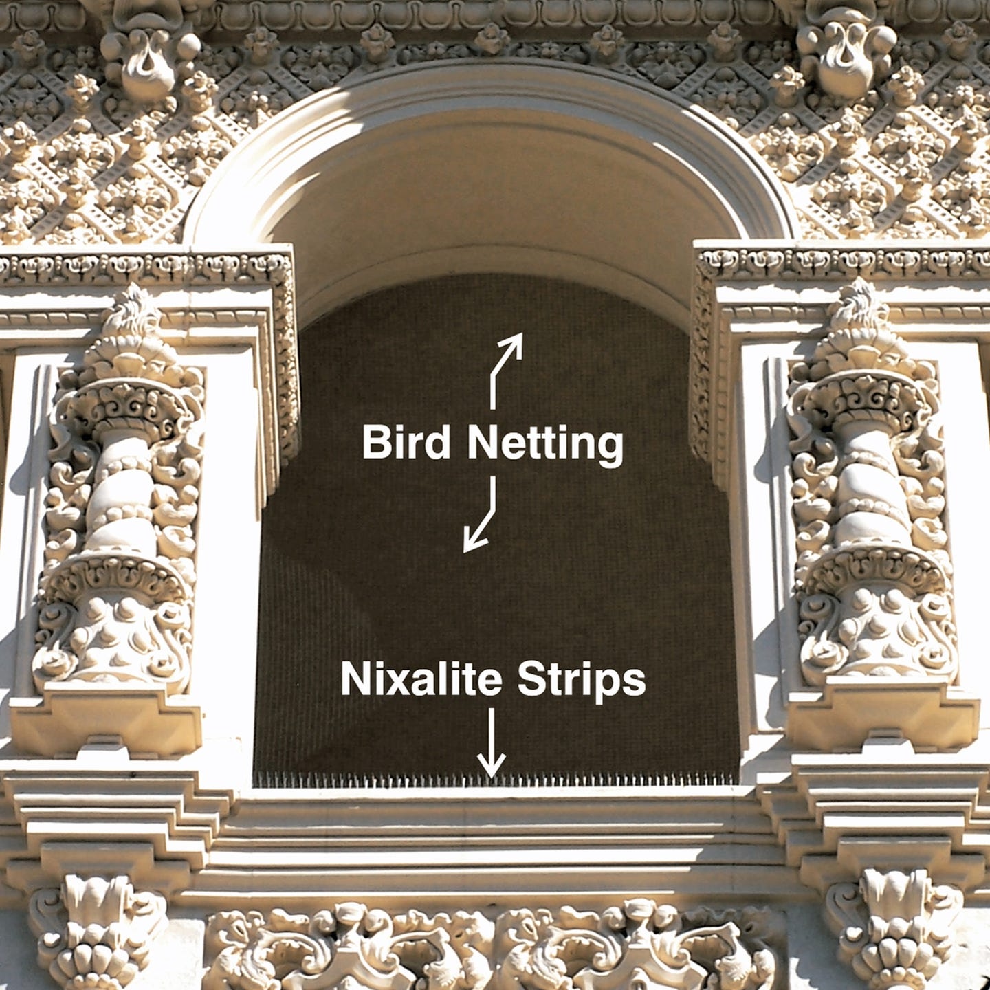 nixalite-and-bird-netinga.jpg