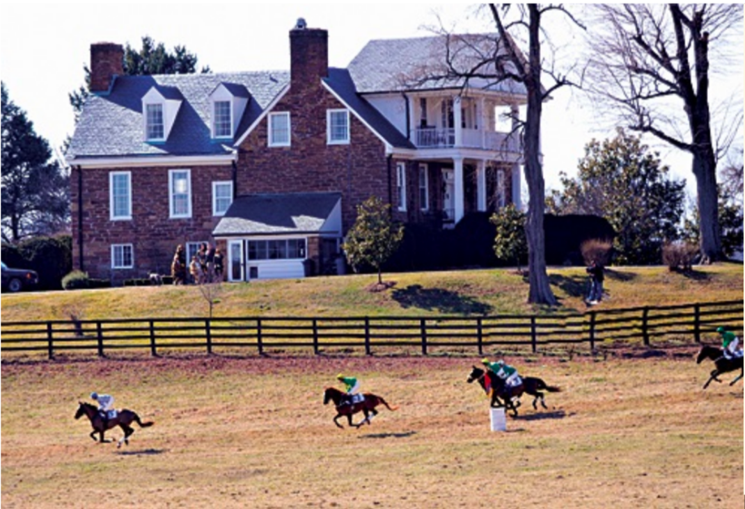 buckland-hall-horses.png