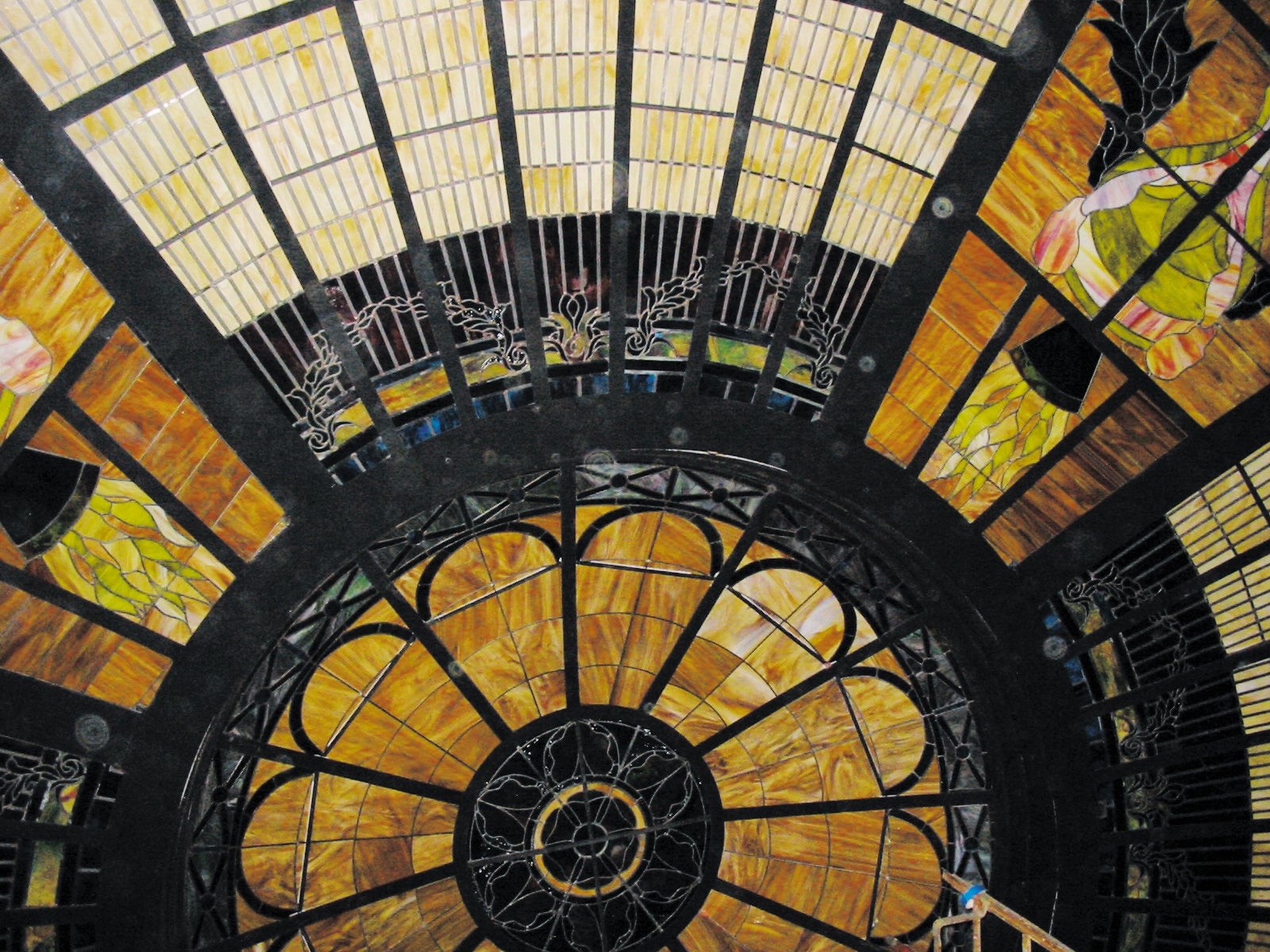 dome-5.jpg