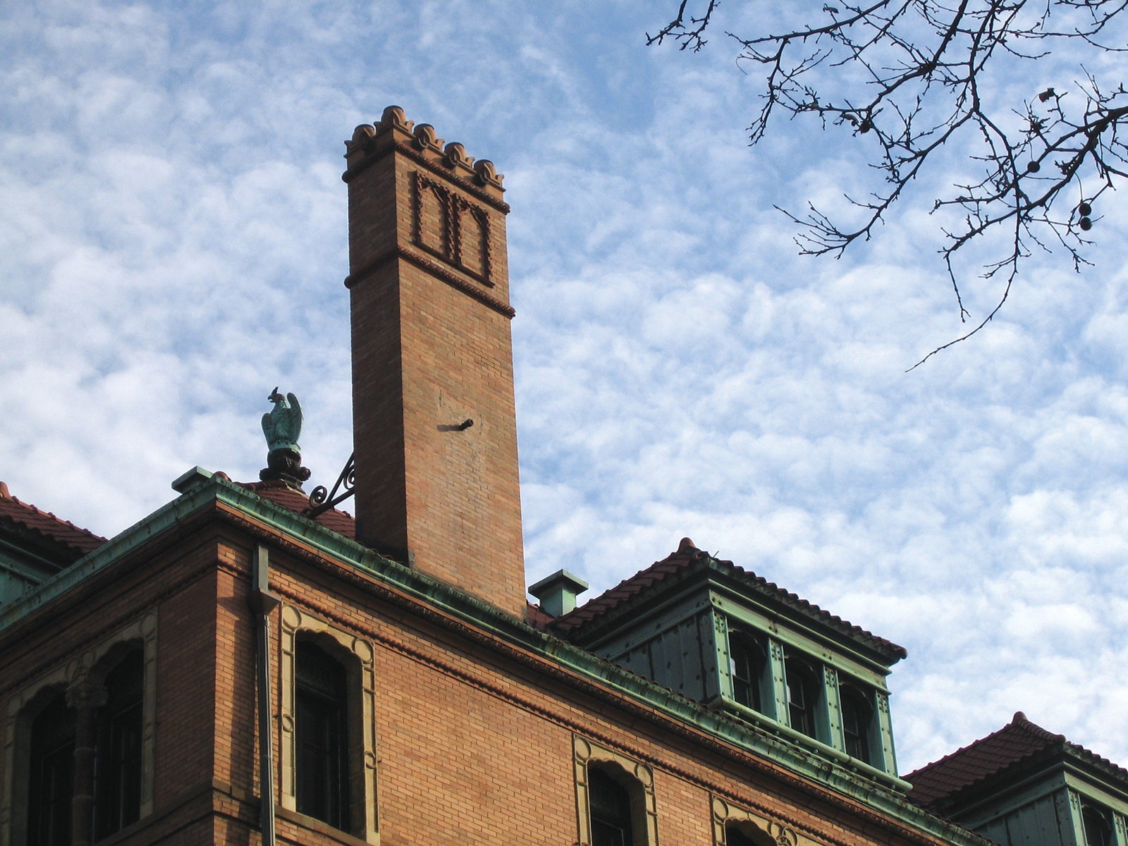chimney7.jpg