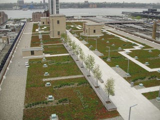 roof-garden-1.jpg