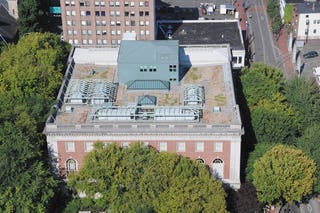 roof-garden-3.jpg