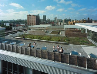roof-garden-5.jpg