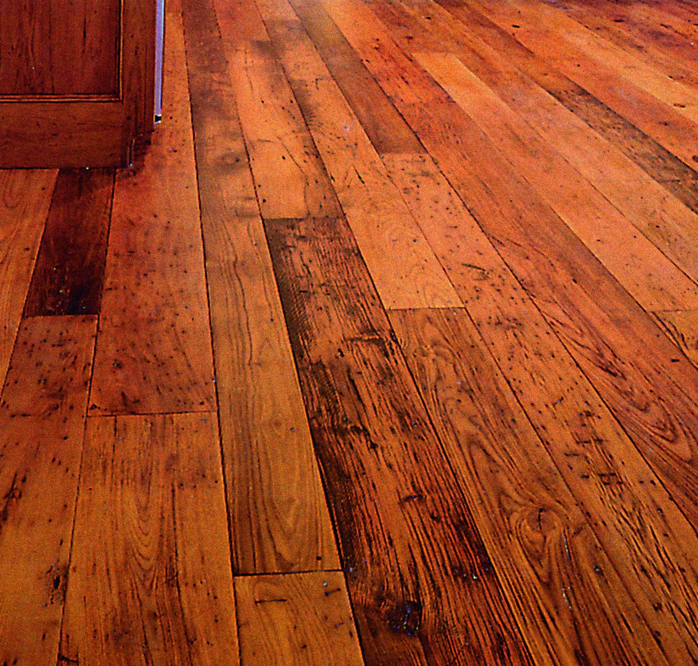 chestnut-specialists-pf5755.jpg