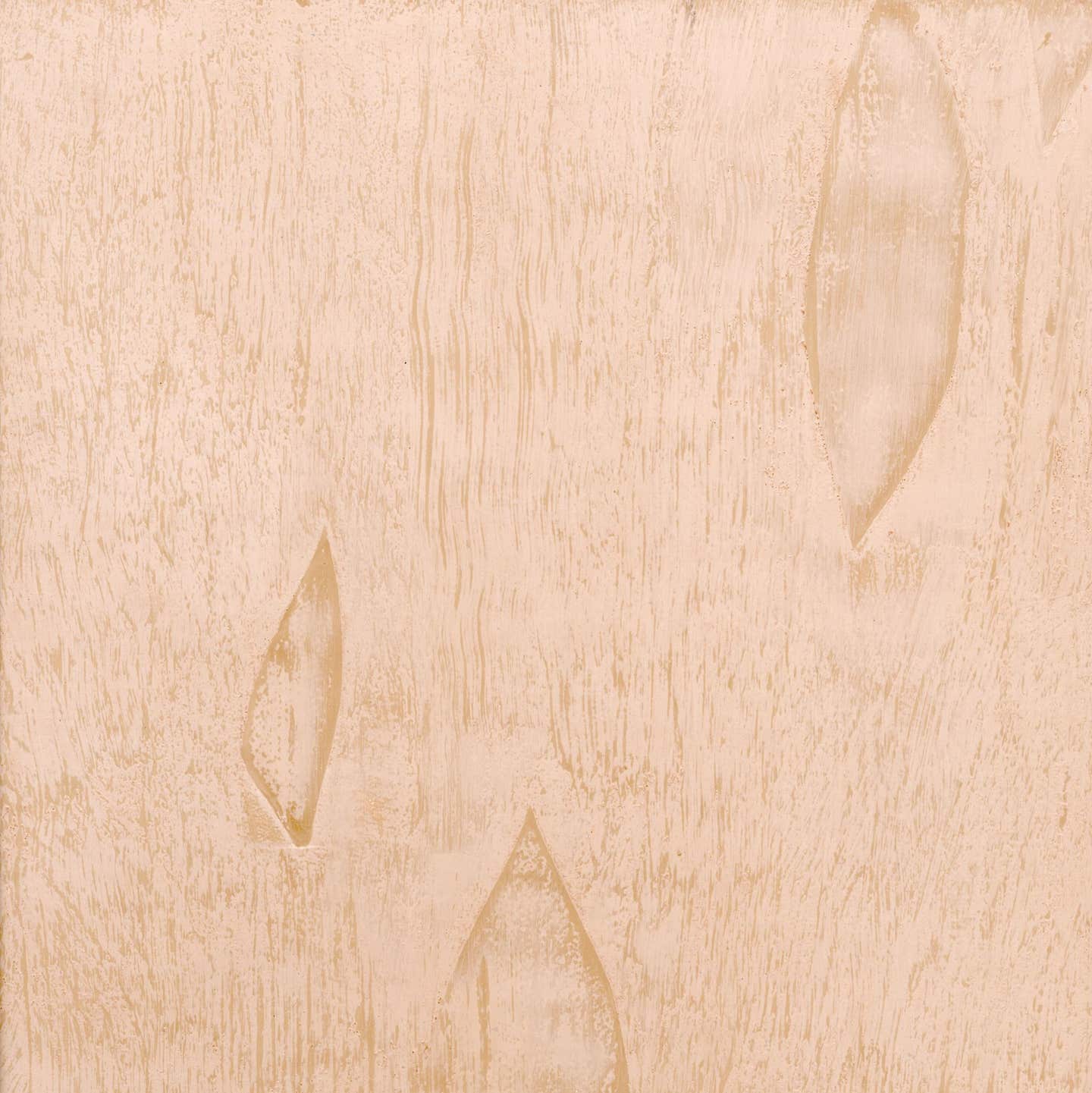 evergreenevenetplaster.jpg