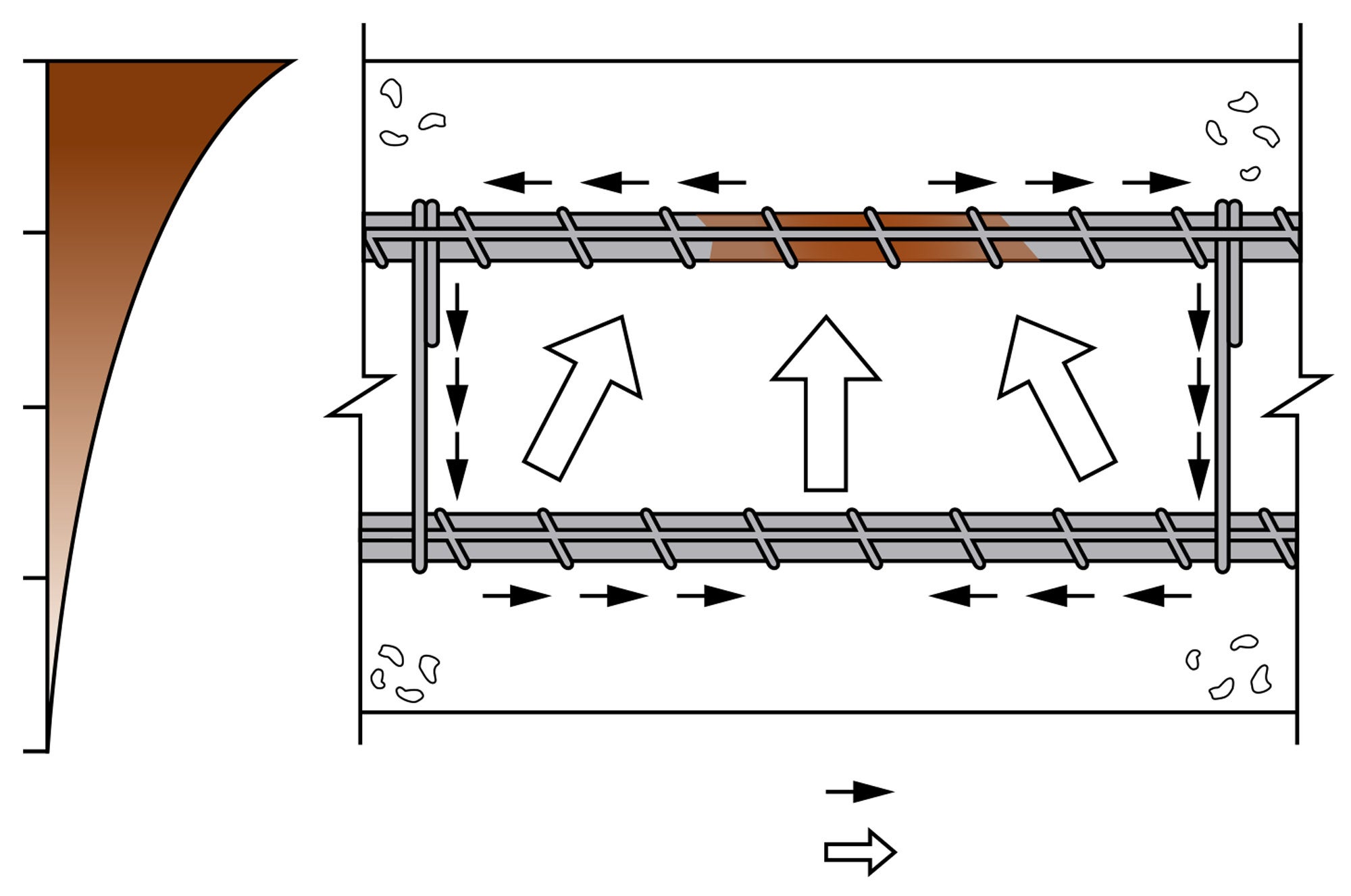 fig2.jpg
