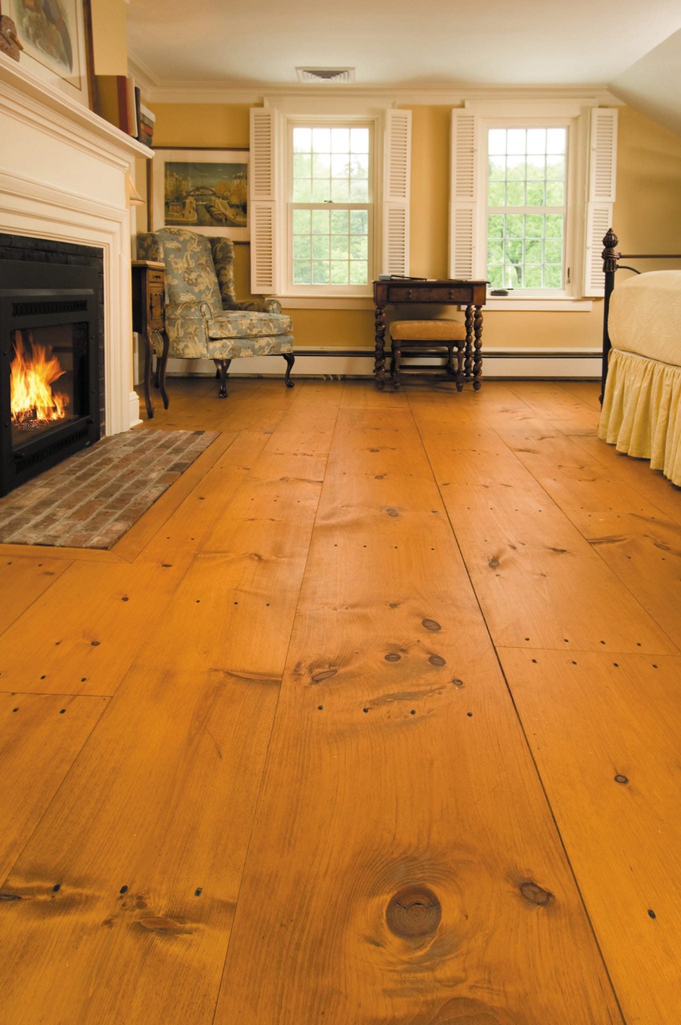 carlisle-eastern_white_pine.jpg