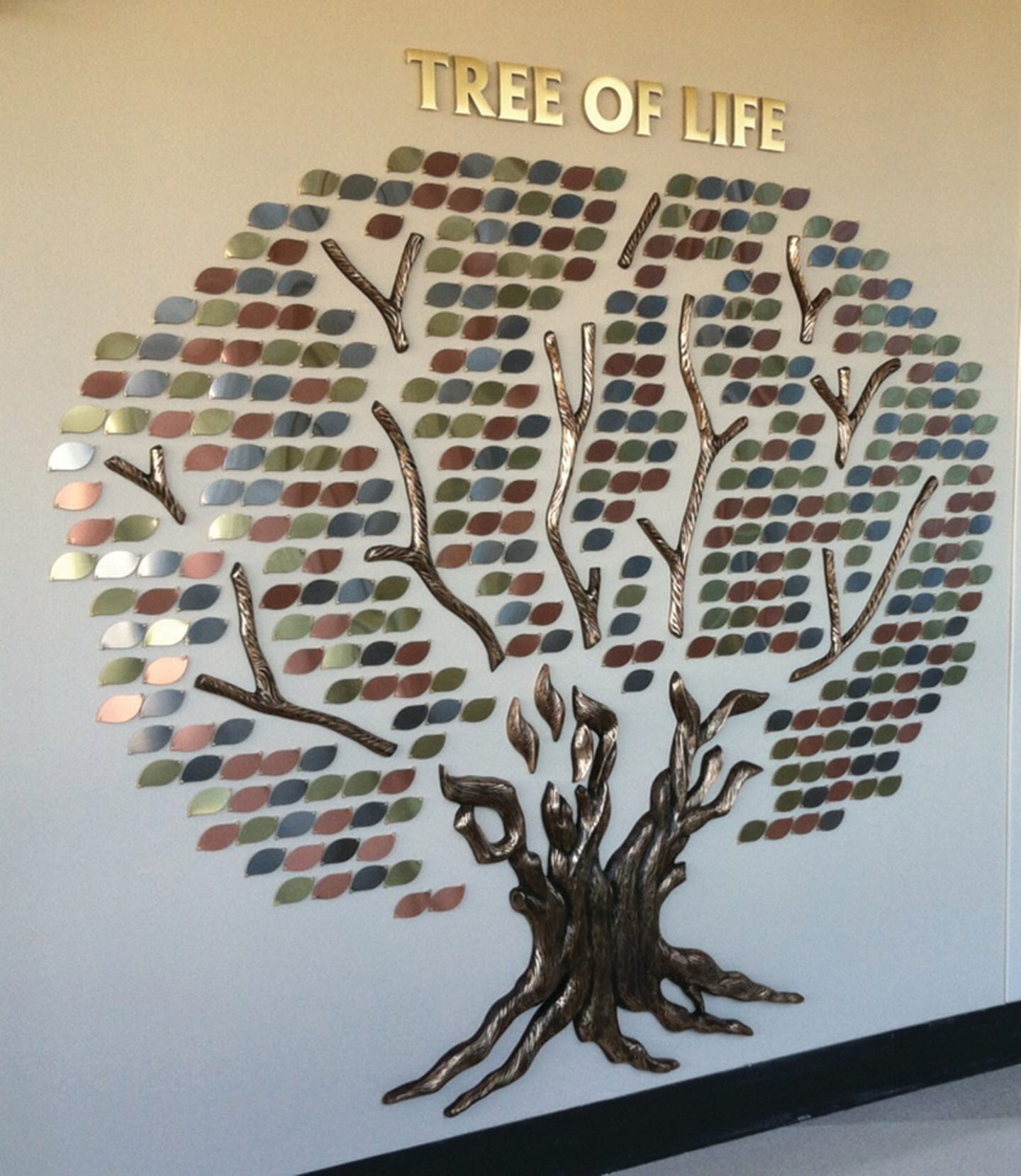 cave-tree-of-life.jpg