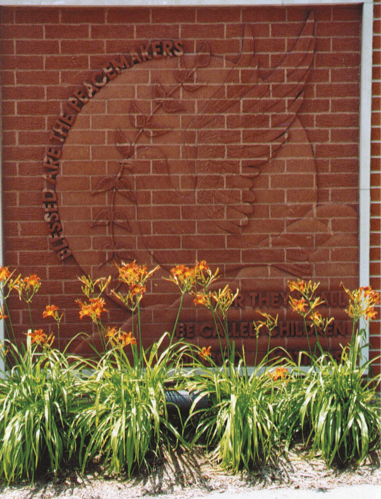 pf6001.jpg