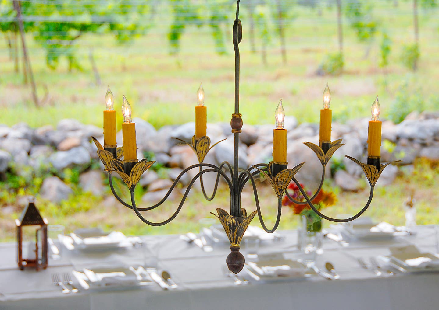 scofield-lighting---tulip-leaf-chandelier.jpg
