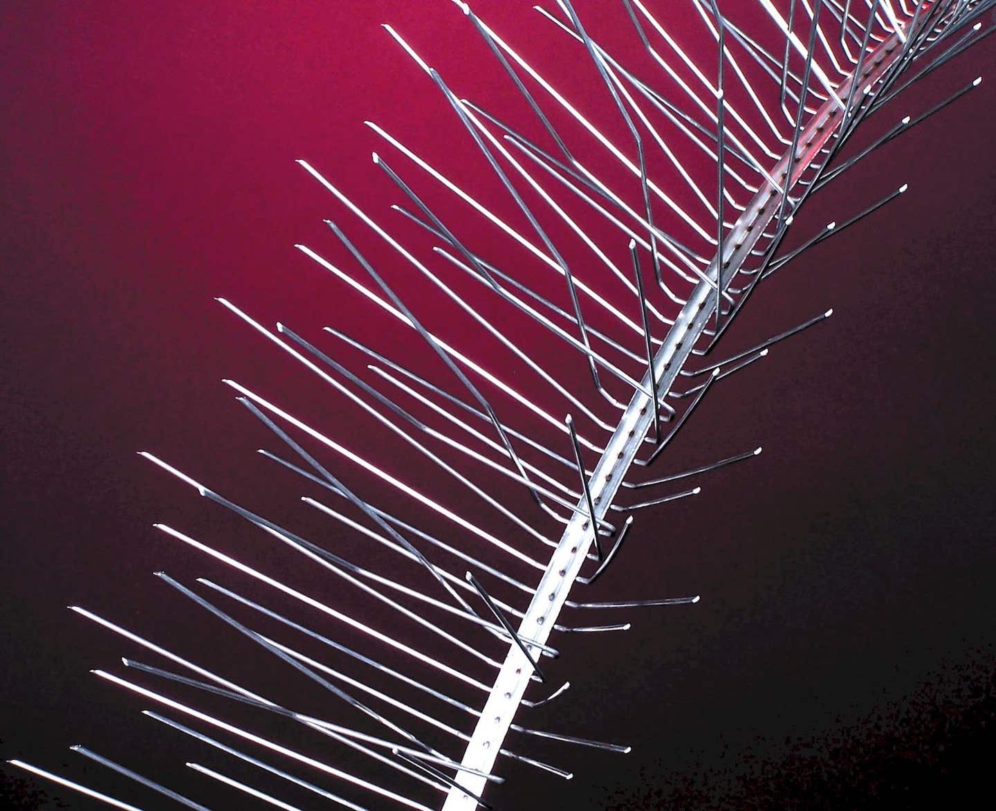 nixalite-redstrip.jpg