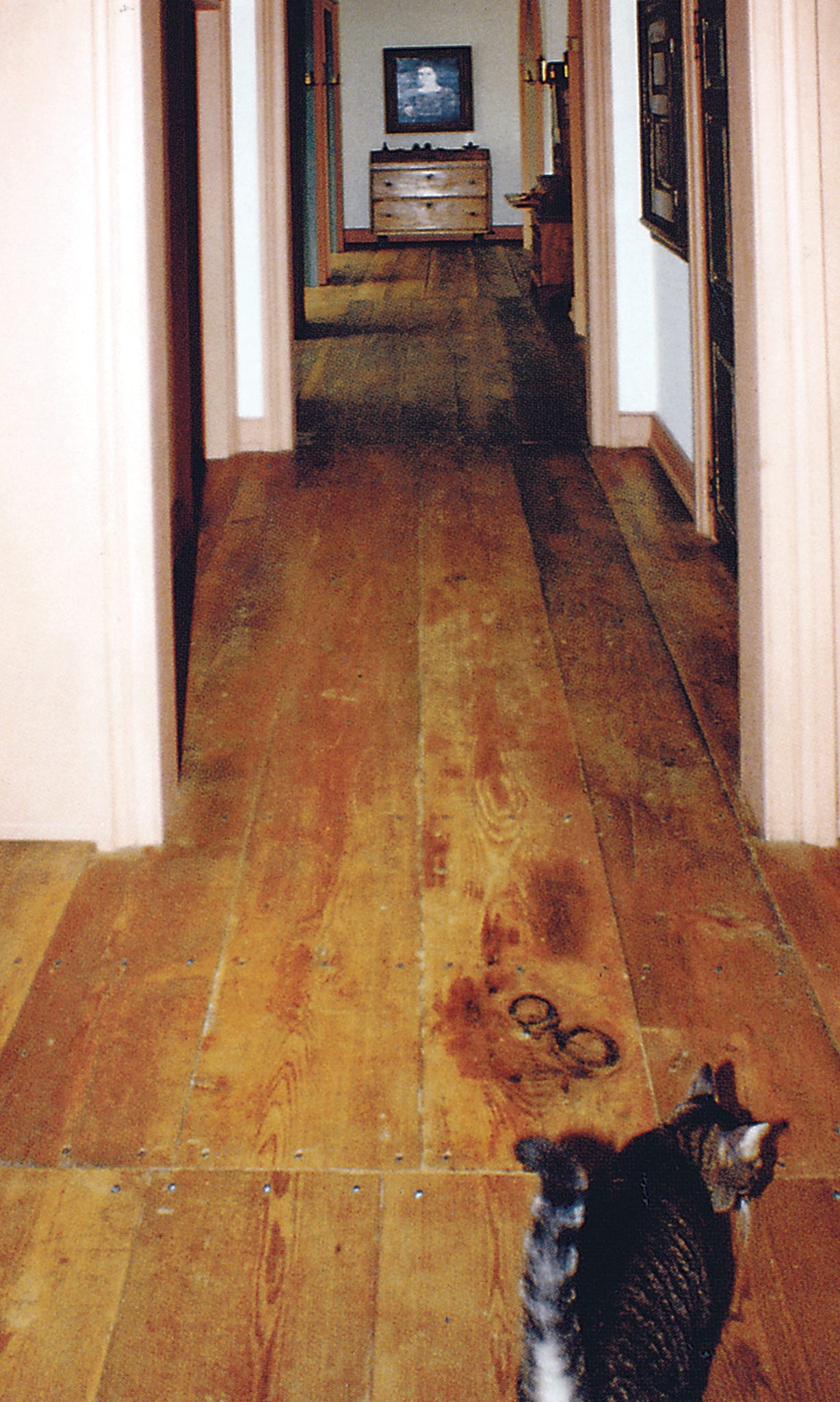 brandt-pb6251.jpg