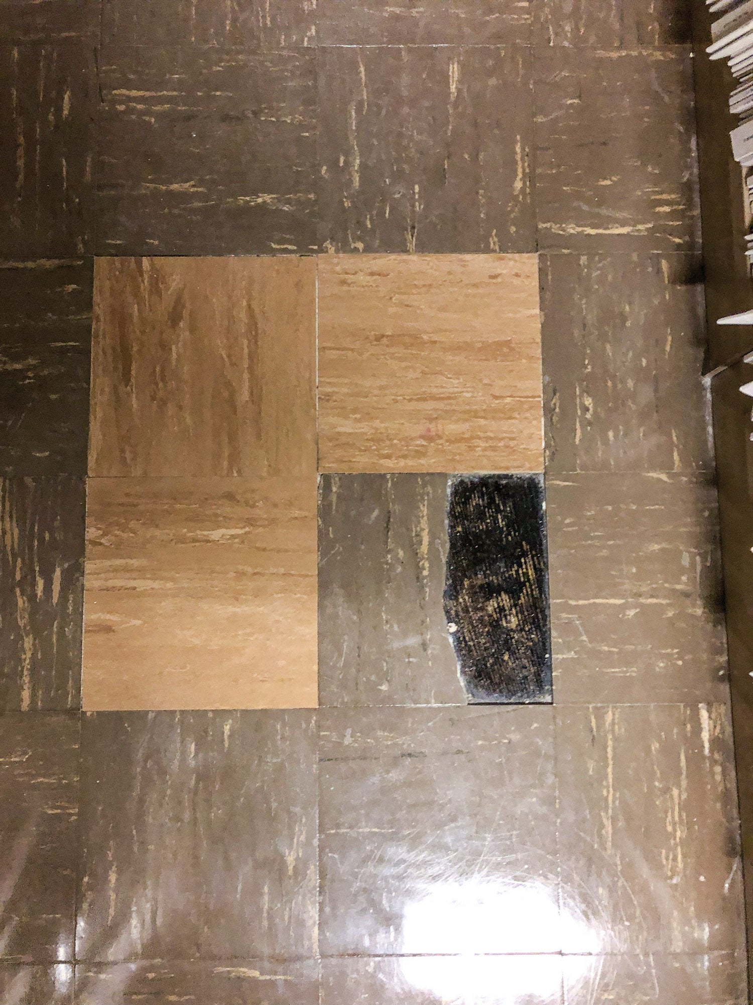 acm-tile-and-mastic.jpg