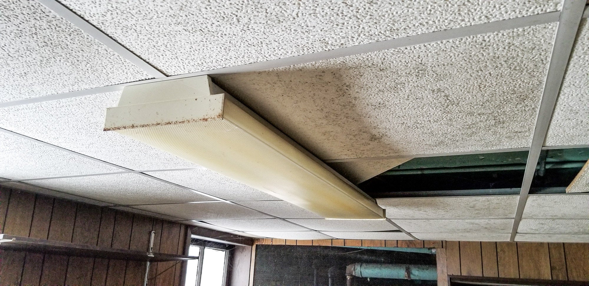 mold-fluorescent-light.jpg