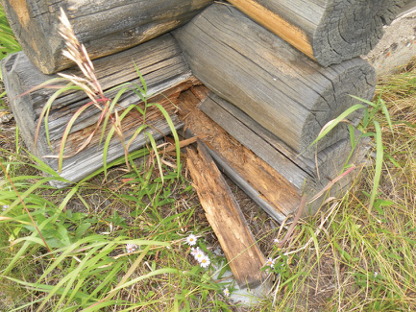 picture3.png