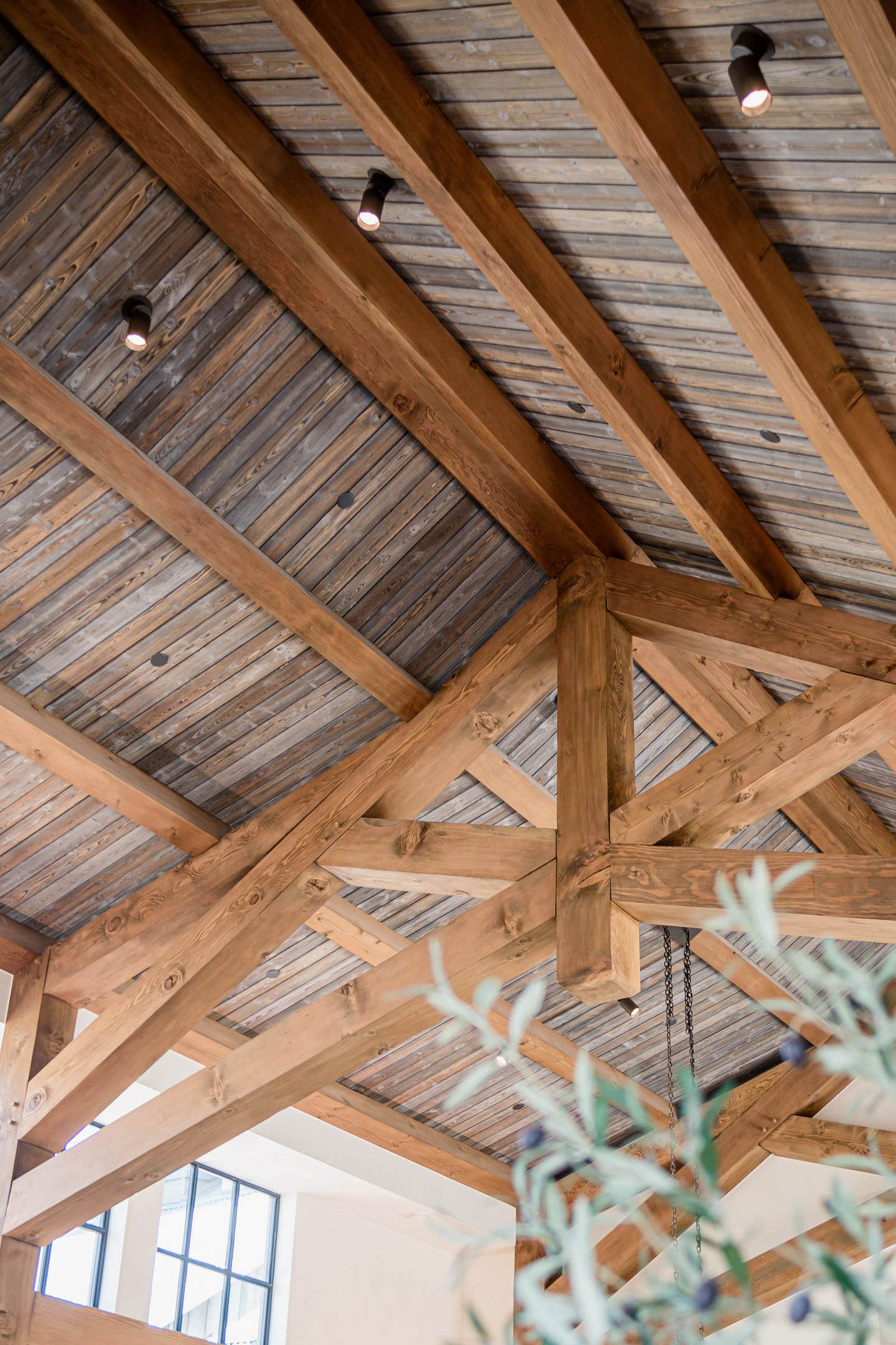 dmg-interior-cedar-paneling---ceilings-only---not-beams.jpg