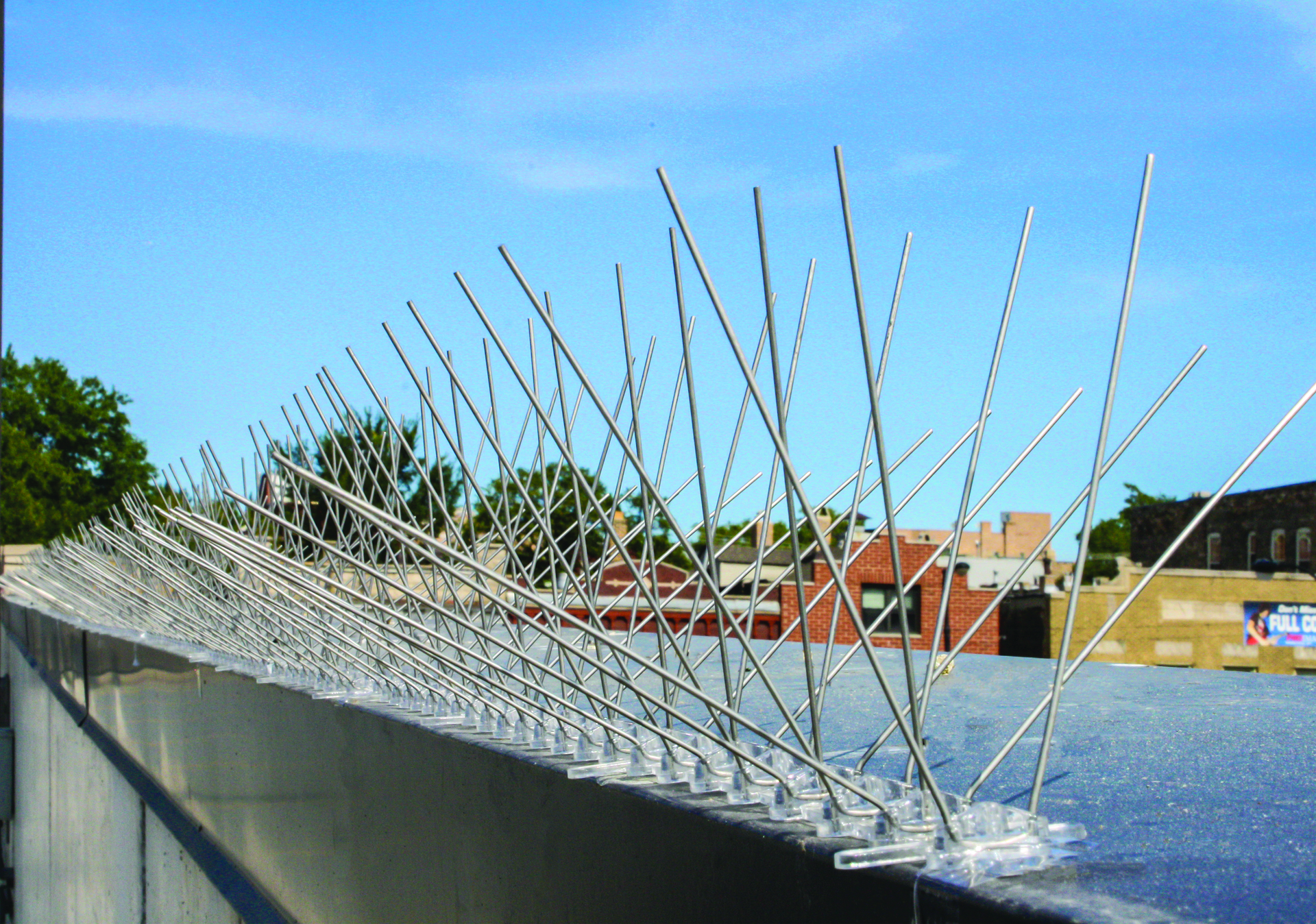 bird-x-stainless-steel-spikes-print.png