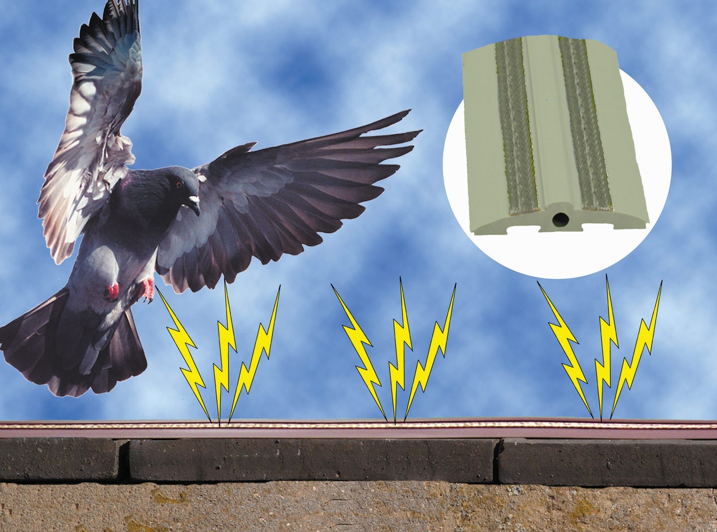 birdbgone.jpg