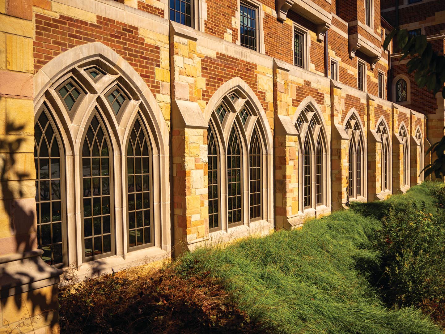 vanderbilt-22-sm.jpg