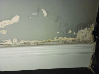 plaster-efflorescence-sm-large.jpg