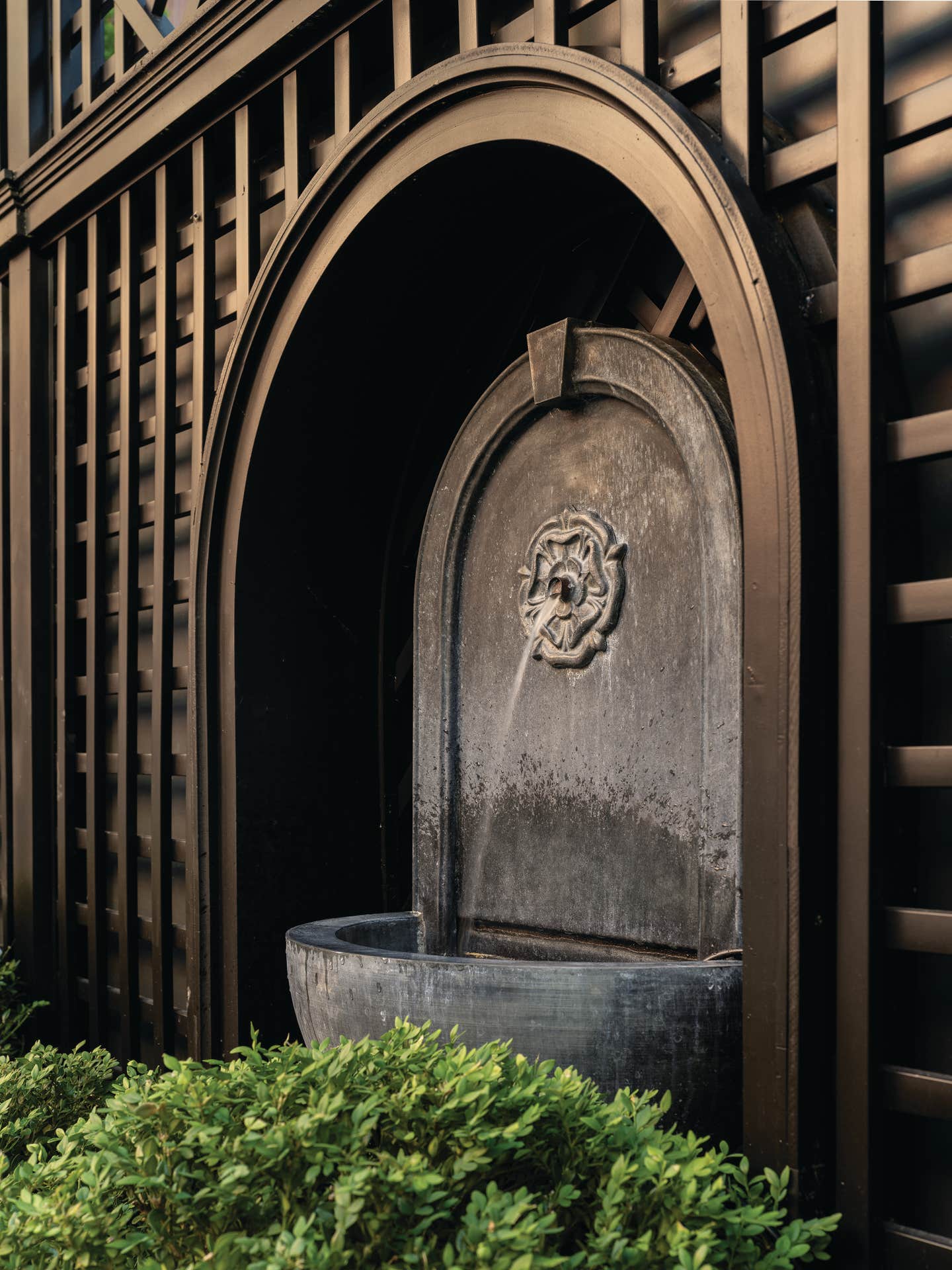 image-14---high-res-sm.jpg