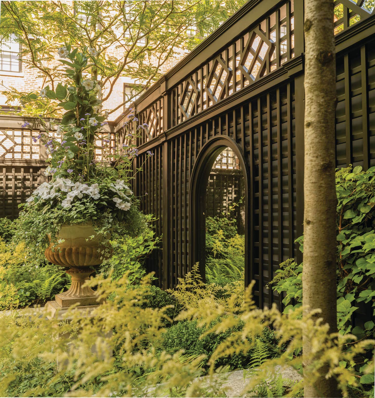 image-11---high-res-sm.jpg
