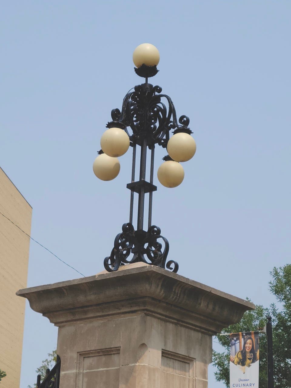 fig-6-large.jpg