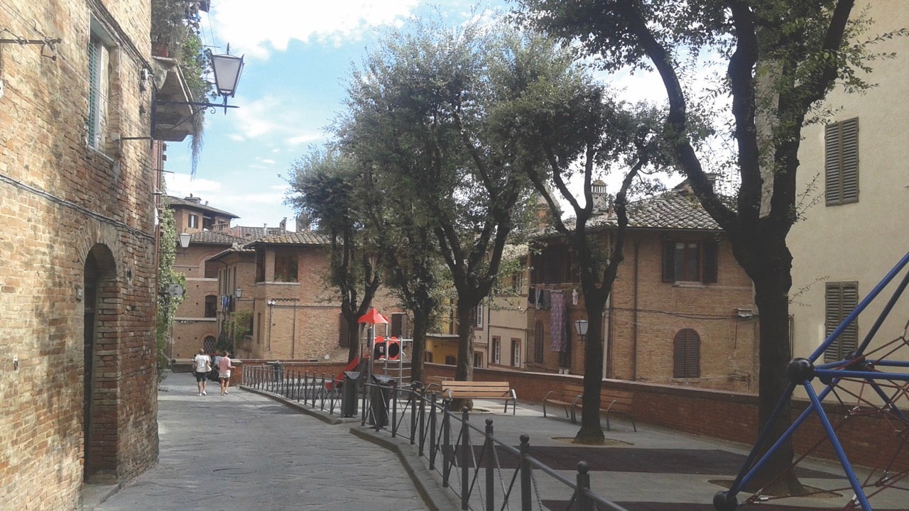 figure-4-sienasalicotto-district2swshi-res-large.jpg