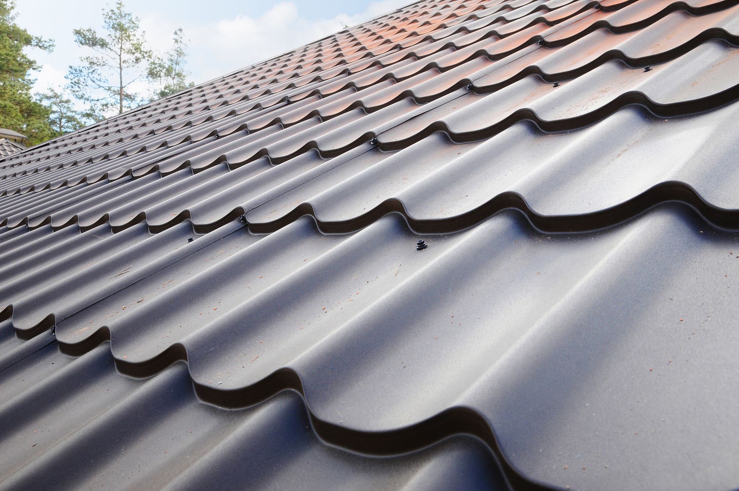 Roofing & Roof Specialties Image